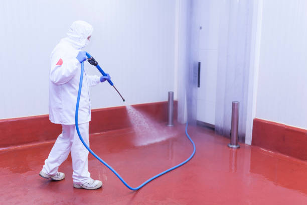 Best Dumpster Area Cleaning  in New Freedom, PA